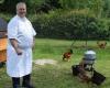 VIDEO. Im Château de la Treyne essen die Hühner und bald auch die Schweine die Teller mit der Sternemahlzeit auf