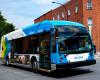 Laut einer McGill-Studie | Es sind weitere Investitionen in das Busnetz erforderlich, um die Fahrgastzahlen vor der Pandemie wieder zu erreichen
