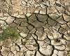 Welttag zur Bekämpfung von Wüstenbildung und Dürre: 17. Juni 2024
