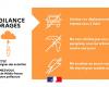 Durchfahrt von Lot-et-Garonne bei orangefarbenem Gewitteralarm – 2024 – Pressemitteilungen – Presseraum – Veröffentlichungen