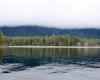 Dank 10 Naturschutzgebieten sind im Clayoquot Sound mittlerweile 760 km2 geschützt