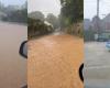 Überflutete Häuser, Straßen unter Wasser, Alarmschwellen erreicht… (Fotos und Videos)