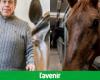 „Ein schrecklicher Unfall“: In Frankreich sind auf dem Gestüt Hutois José Lardot mehr als 50 Pferde den Flammen zum Opfer gefallen