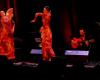 Colomiers. „Flamenca-Treffen“ mit dem Columérin-Künstlerkollektiv E2A