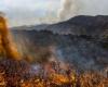 Extreme Waldbrände haben sich in 20 Jahren weltweit verdoppelt – rts.ch