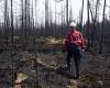 Niederschläge sollen zur Bekämpfung von Waldbränden an der Nordküste beitragen