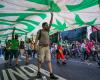 Lateinamerika: Brasilien bestätigt die Entkriminalisierung des Cannabisbesitzes
