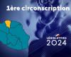 Parlamentswahlen 2024: Was Sie über den 1. Wahlkreis auf Réunion wissen müssen