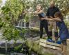 Paris: Der Zoo von Vincennes startet seine nächtlichen Veranstaltungen für den Sommer