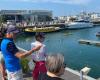 La Rochelle: Versuche, drei junge Delfine aus dem Alten Hafen zu entfernen, sind gescheitert