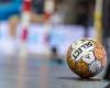 Metz Handball ist über sein Schicksal entschieden