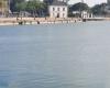 Die drei Delfine verließen den alten Hafen von La Rochelle