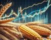 COT’Hebdo-Getreide | Der Preis für Weichweizen liegt an der Euronext nahe bei 220 €/t, unter Druck durch Ernten und ausländische Konkurrenz