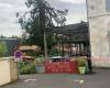 VIDEO – Gewitter: Ein Blitz lässt einen jahrhundertealten Mammutbaum in Deux-Sèvres explodieren