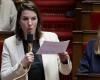 Parlamentswahlen 2024 in Loire-Atlantique: Julie Laernoes steht im ersten Wahlgang in Nantes-Rezé kurz vor ihrer Wiederwahl