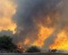 In Arizona schreitet ein Waldbrand voran, nachdem Evakuierungen erzwungen wurden