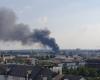 Heftiges Feuer, FCR, Wildschweine… Was diese Woche in Rouen passiert ist
