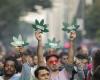 Cannabisbesitz in Brasilien entkriminalisiert: die neuen Spielregeln
