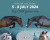 Horse Auction Belgium ist bereit, Ihnen diesen Sommer das Beste der europäischen Springpferdezucht zu präsentieren!