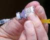 COVID-19-Impfstoff | Gemischte Entscheidung eines britischen Gerichts im Pfizer-Moderna-Streit