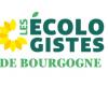 GESETZGEBUNG – 5. Wahlkreis Saône et Loire – Ökologen fordern Louis Margueritte zum Rücktritt – info-chalon.com