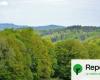 In Frankreich wird die Mobilisierung für Wälder organisiert