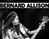 Bernard Allison Konzert in Alençon 2024