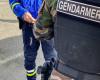 Er wird gegen vier Gendarmen in Chasseneuil-du-Poitou und am CHU eingesetzt