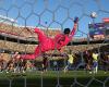 Copa América: Gabriels Brasilien (ex-LOSC) qualifizierte sich unter Schmerzen, Junior Alonso und Paraguay scheitern