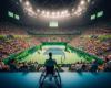 Google
      feiert
      Einführung
      des
      Rollstuhltennis
      bei
      den
      Paralympics