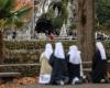 Grotte
      des
      Heiligtums
      von
      Lourdes
      nach
      Überschwemmung
      wieder
      für
      die
      Öffentlichkeit
      zugänglich