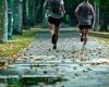 eine sportliche Route zwischen Natur und Stadt durch Seine-Saint-Denis