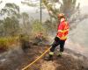 Portugal kämpft weiterhin gegen heftige Waldbrände