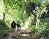 Drei Wanderungen im Herzen von Essonne in idyllischer Umgebung