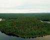 Den Kipawa-Fluss ausbeuten oder schützen?