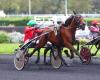 Misty Green bewahrt ihre Unbesiegbarkeit im Prix Hekate in Vincennes