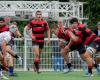 Elite-Hoffnungen – Stade Toulousain – Agen, Frustration, Realismus und Boni