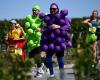 Mein Médoc-Marathon, das Rennen, das nur die Franzosen erfinden konnten