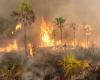 SOALALA – Der von den Bränden verschonte harte Kern beim Brand im Baly Bay Nationalpark