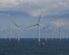 Offshore-Windenergie: Belgien mangelt an Platz in der Nordsee, sagt WWF