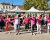 Wand. Flashmob für Pink October auf Allées Niel