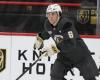 NHL: Mathieu Cataford hat in seinem ersten Camp bei den Golden Knights viel gelernt