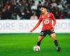 Ligue 1 – D7: Die Notizen der Dogues nach LOSC – Toulouse FC