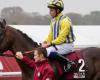 Pferd stirbt beim Qatar Prix de l’Arc de Triomphe