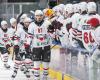 Diesen Samstag geht es Richtung Langnau für die Lions – Lausanne HC