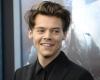 Entdecken Sie die luxuriösen Residenzen von Harry Styles auf der ganzen Welt – Actual Immo