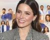 „Scott Brothers“ Sophia Bush wird Hauptrolle in „Grey’s Anatomy“