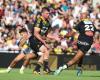 „Dritter in den Top 14 und wir reden fast von einer Krise, es ist perfekt, ich liebe es“ (La Rochelle)