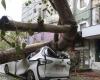 Sturm: Zwei Tote und 500 Verletzte in Taiwan nach dem Vorbeiziehen eines Taifuns