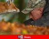 Begegnung von Angesicht zu Angesicht zwischen Maxime Bachely, Naturfotograf aus Maubray, und einem Fuchs